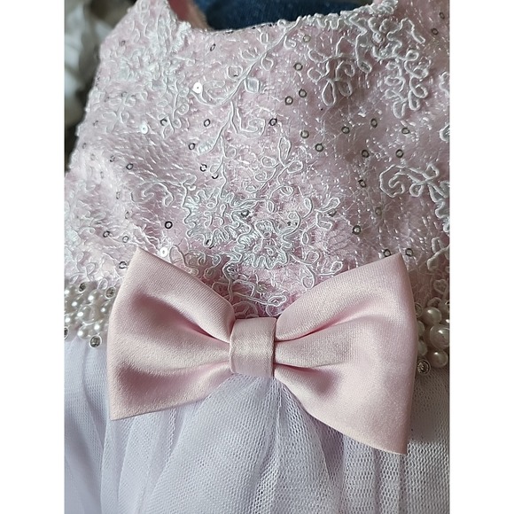 NWT American Princess Girls' Pink Embroidered Tiered Tulle Dress Easter 18M - Picture 3 of 9